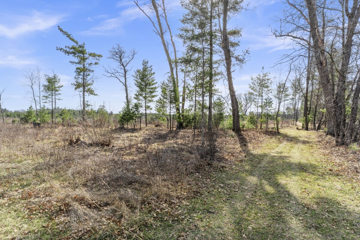 Land at 563 Russell Street, Grantsburg, WI 54840 — photo 5
