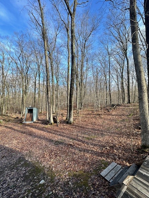 Land at 6039 Barrett Tr, Trego, WI 54888 — photo 11