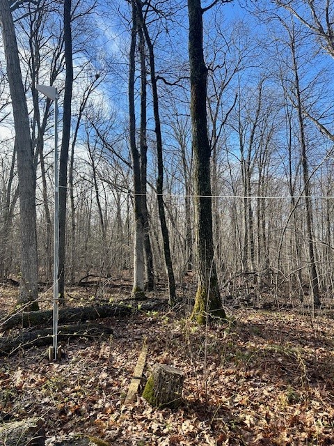 Land at 6039 Barrett Tr, Trego, WI 54888 — photo 14