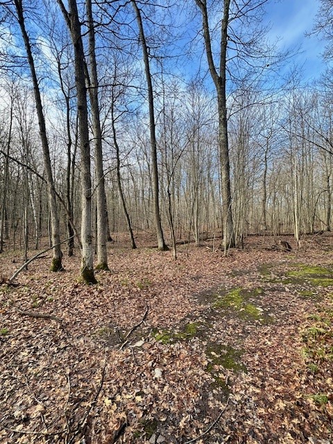 Land at 6039 Barrett Tr, Trego, WI 54888 — photo 16