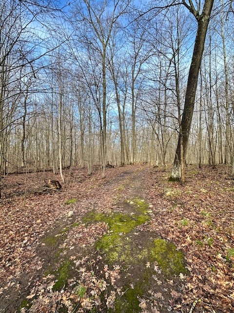 Land at 6039 Barrett Tr, Trego, WI 54888 — photo 17