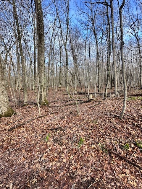 Land at 6039 Barrett Tr, Trego, WI 54888 — photo 18