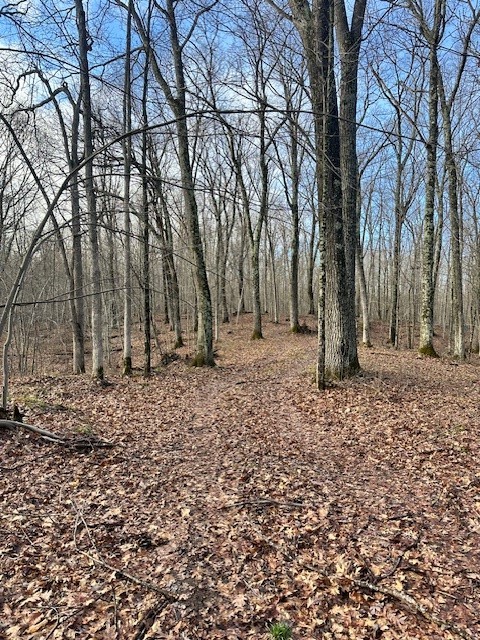 Land at 6039 Barrett Tr, Trego, WI 54888 — photo 3