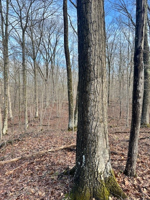 Land at 6039 Barrett Tr, Trego, WI 54888 — photo 4