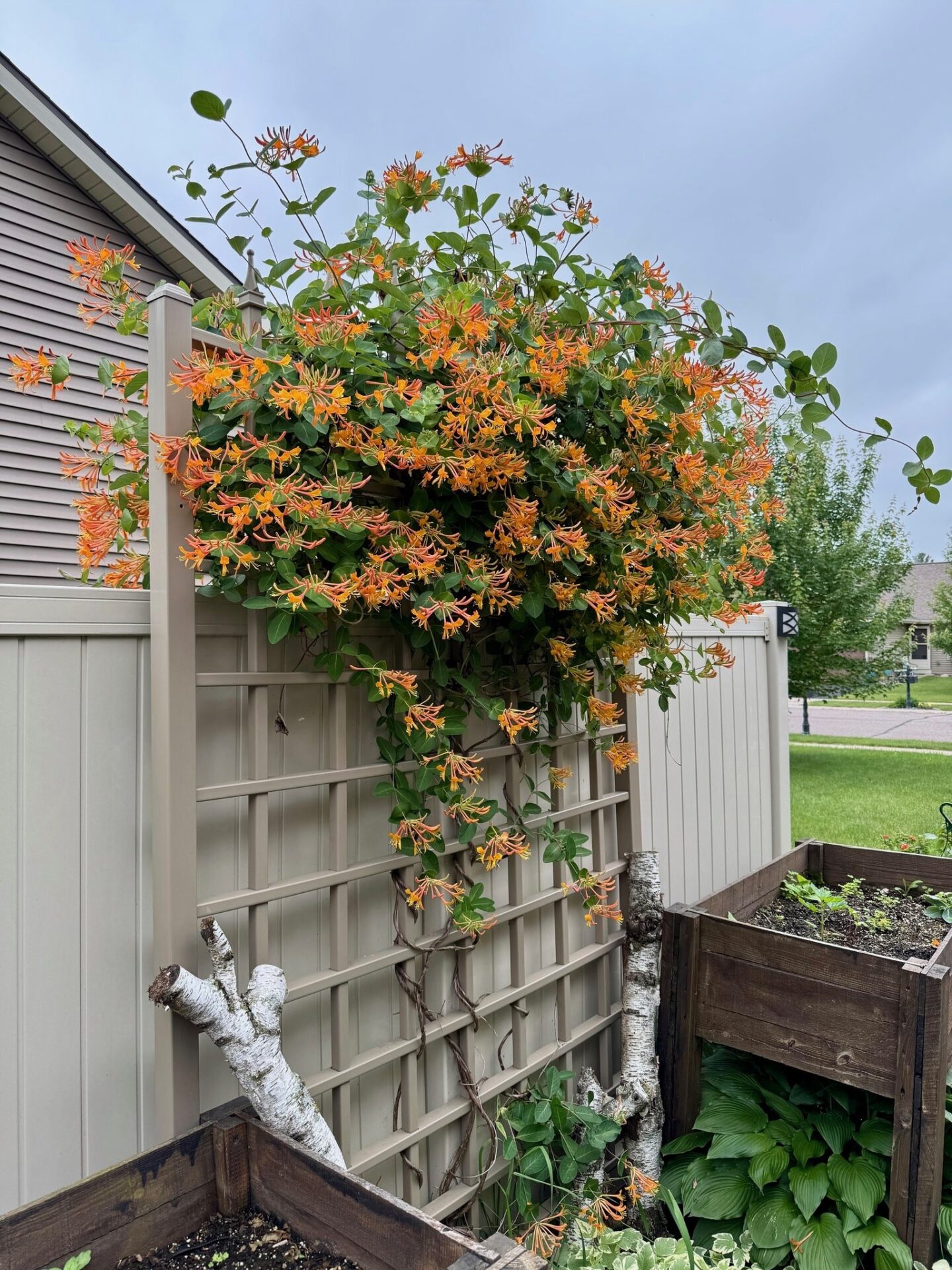 Residential at 617 Blue Karner Drive, Altoona, WI 54720 — photo 2