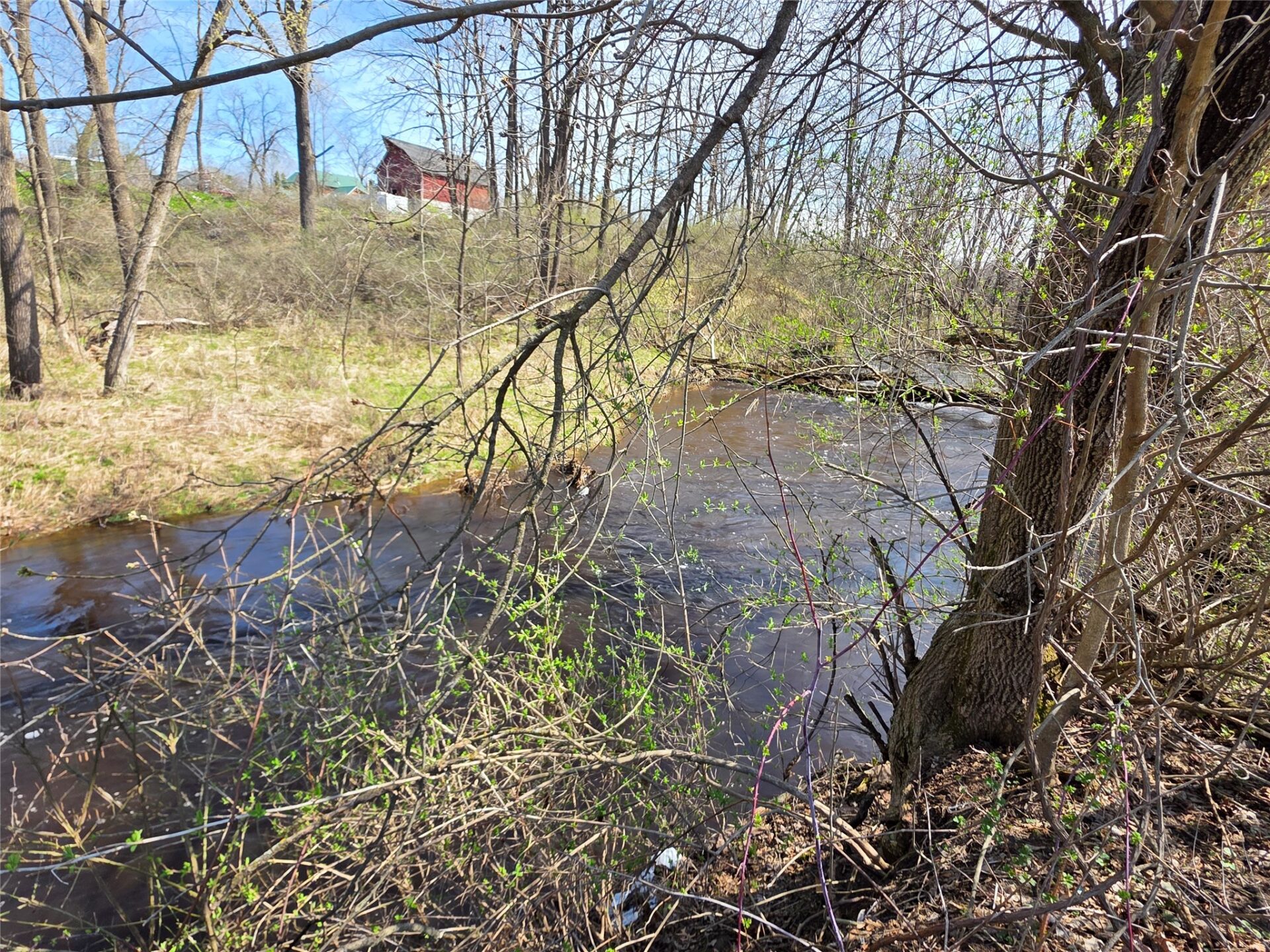 Residential at 619 Perkins Street, Augusta, WI 54722 — photo 10
