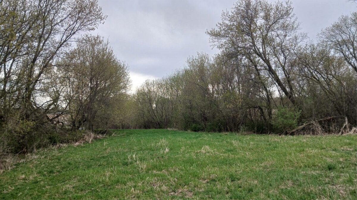 62 Acres 82nd St, Bloomer, WI — photo 2