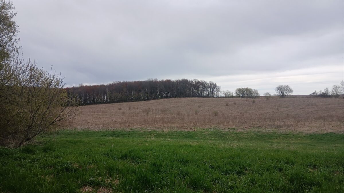 62 Acres 82nd St, Bloomer, WI — photo 11
