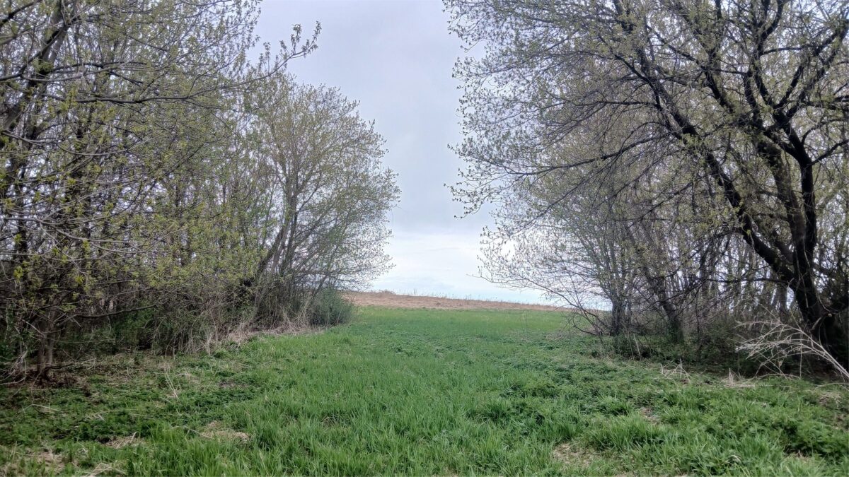 62 Acres 82nd St, Bloomer, WI — photo 12