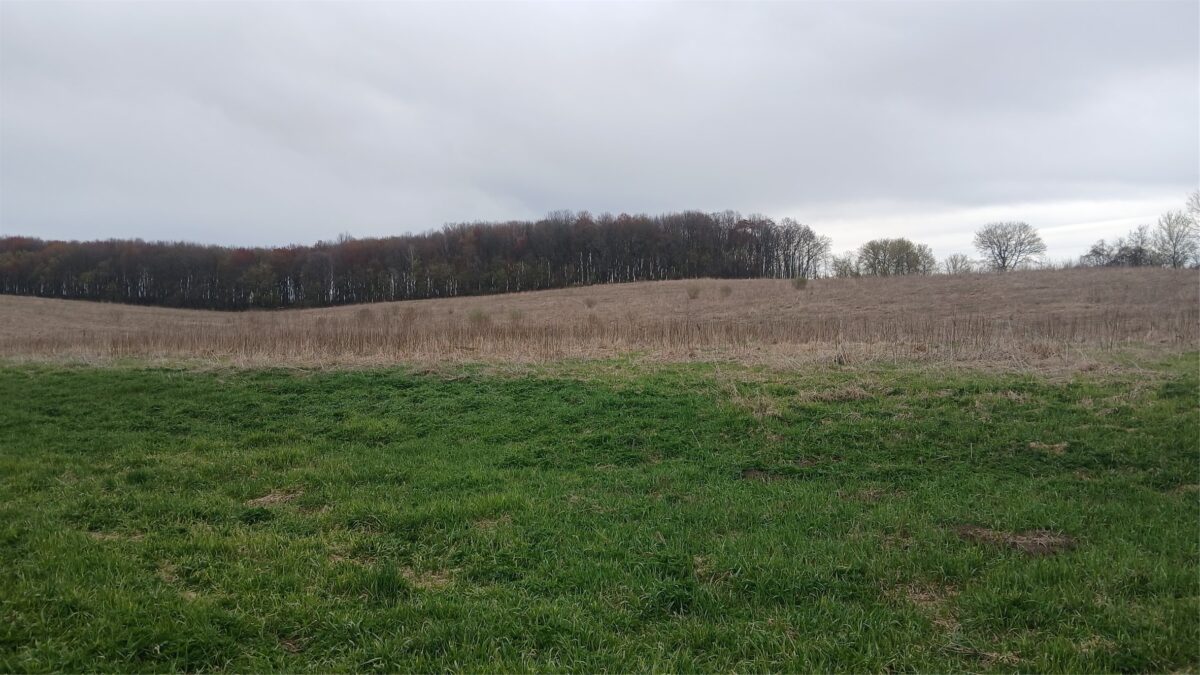 62 Acres 82nd St, Bloomer, WI — photo 13