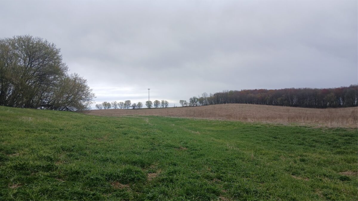 62 Acres 82nd St, Bloomer, WI — photo 14