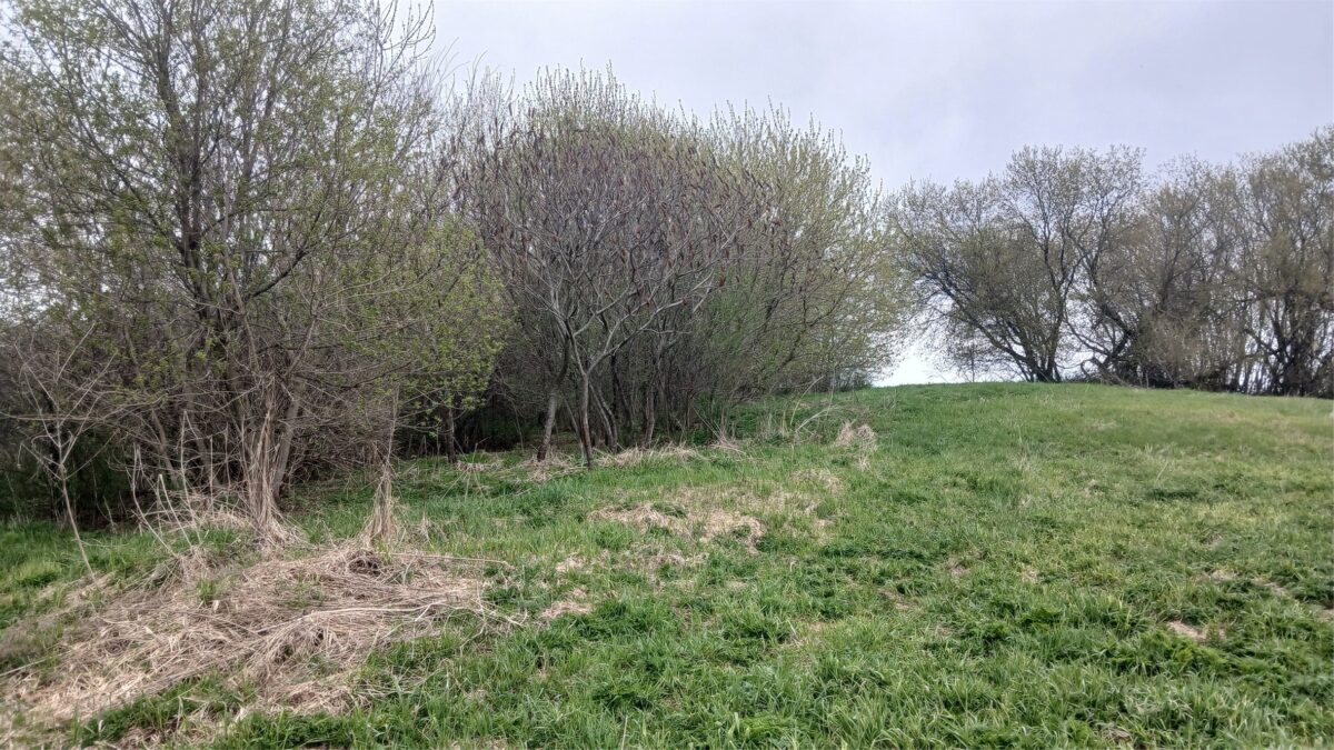 62 Acres 82nd St, Bloomer, WI — photo 15