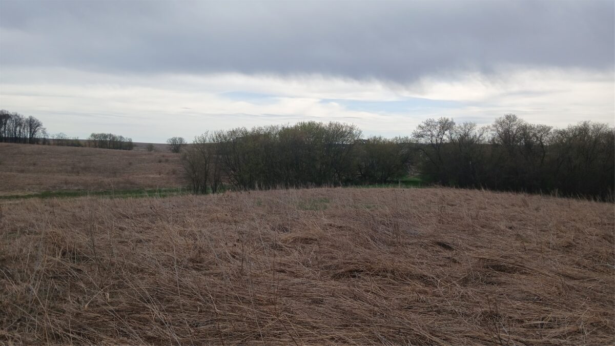 62 Acres 82nd St, Bloomer, WI — photo 3