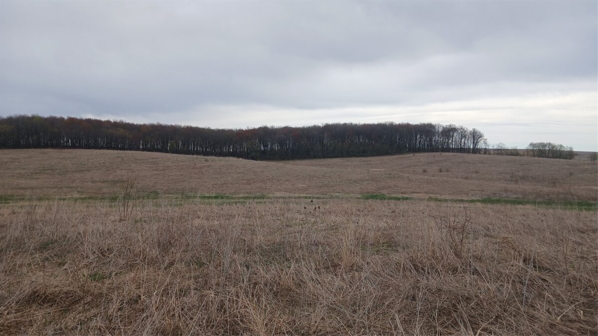 62 Acres 82nd St, Bloomer, WI — photo 4
