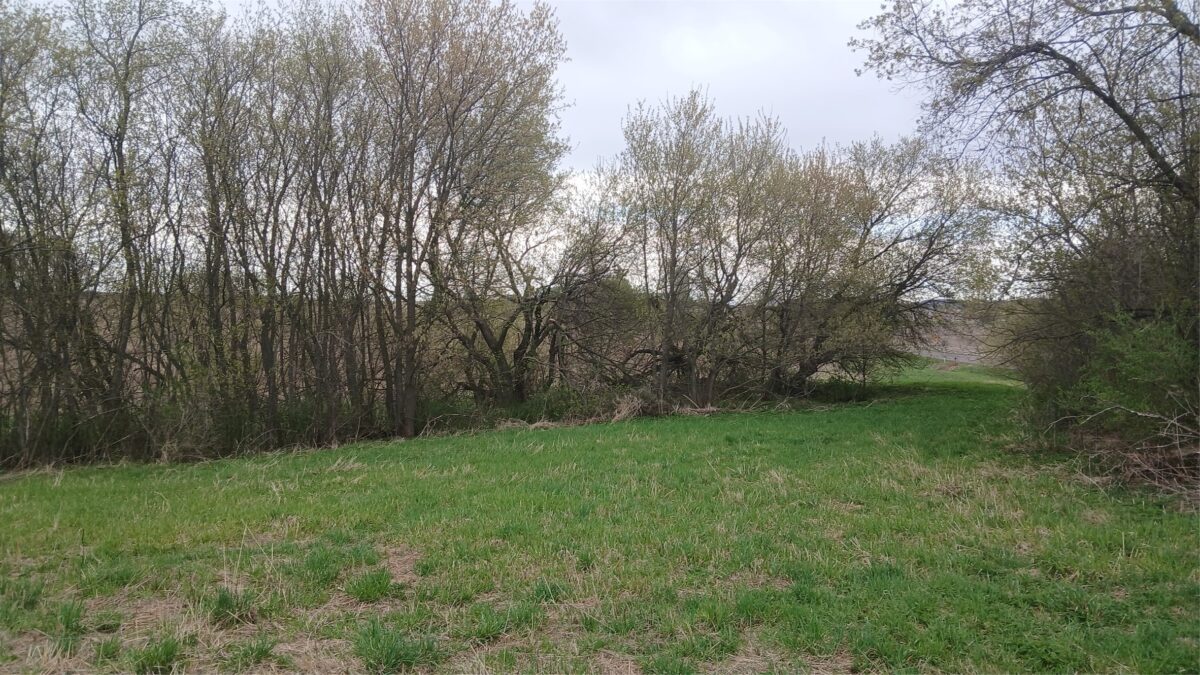 62 Acres 82nd St, Bloomer, WI — photo 5