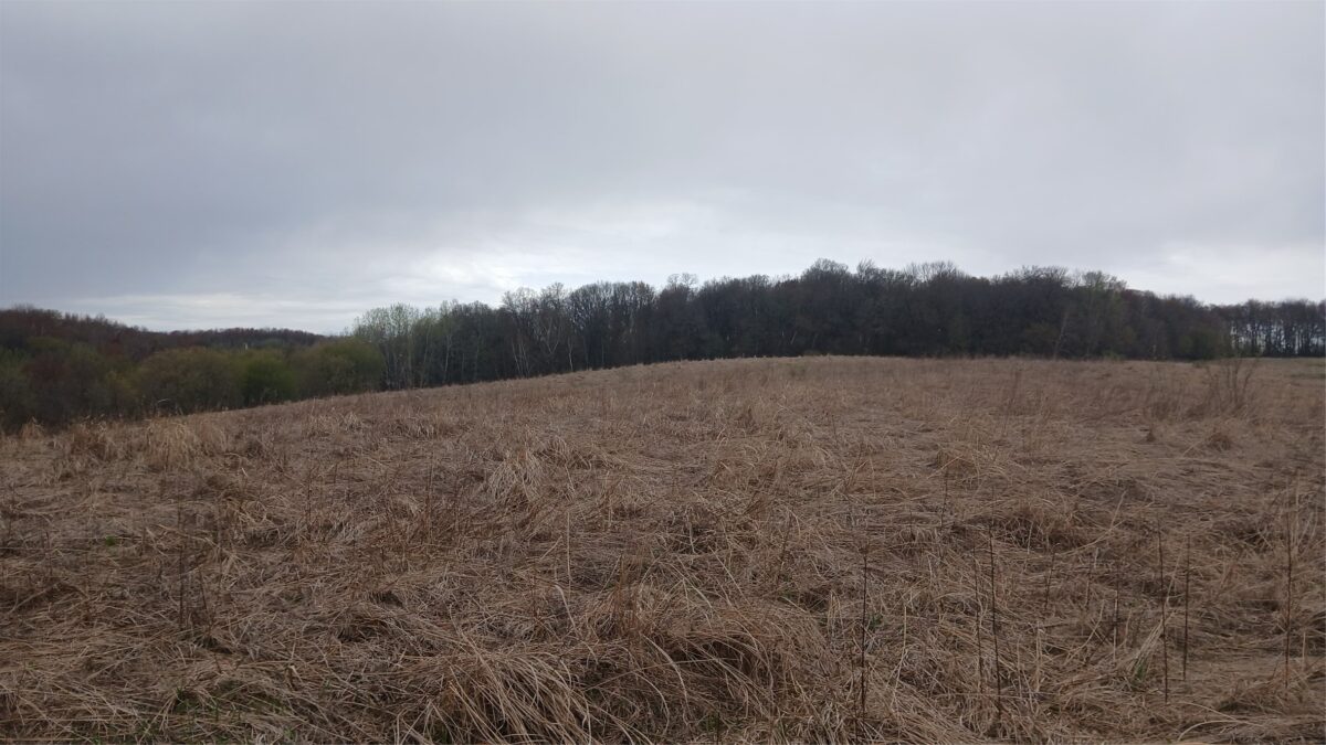 62 Acres 82nd St, Bloomer, WI — photo 6