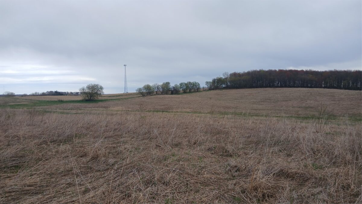 62 Acres 82nd St, Bloomer, WI — photo 8