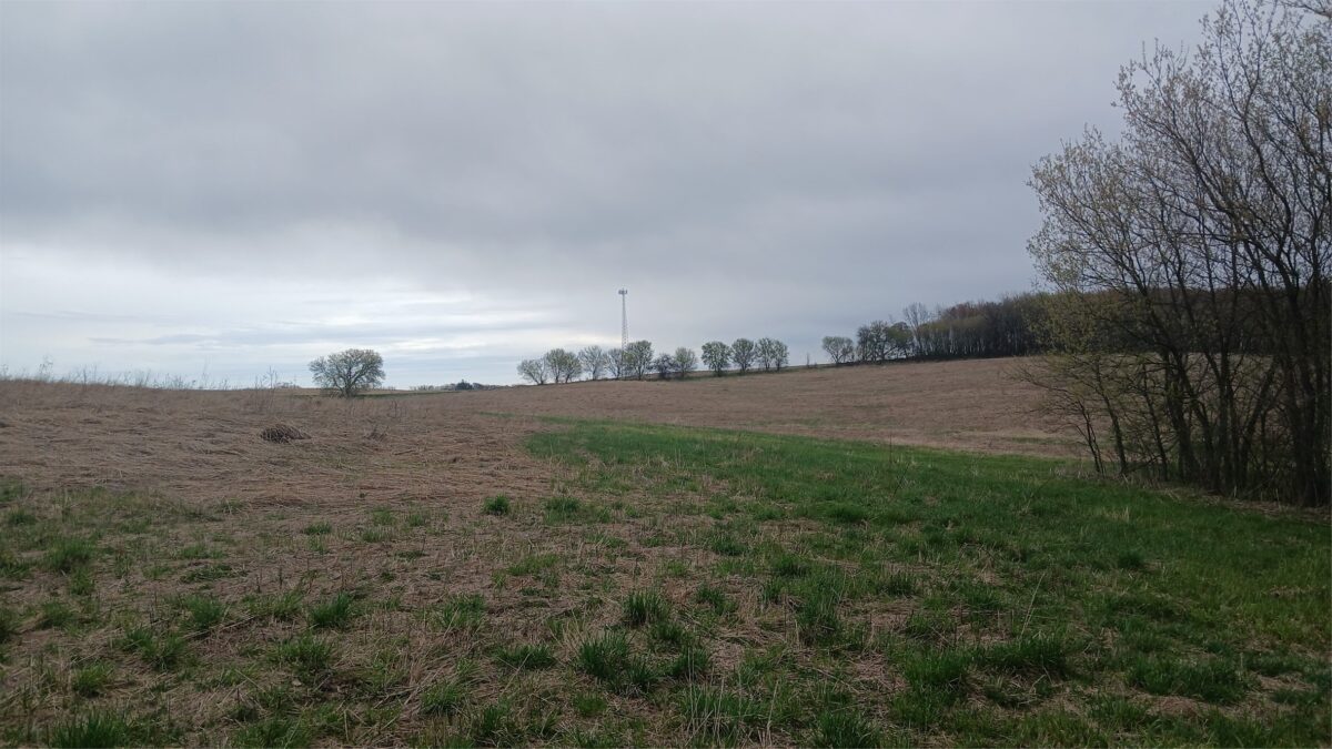 62 Acres 82nd St, Bloomer, WI — photo 9