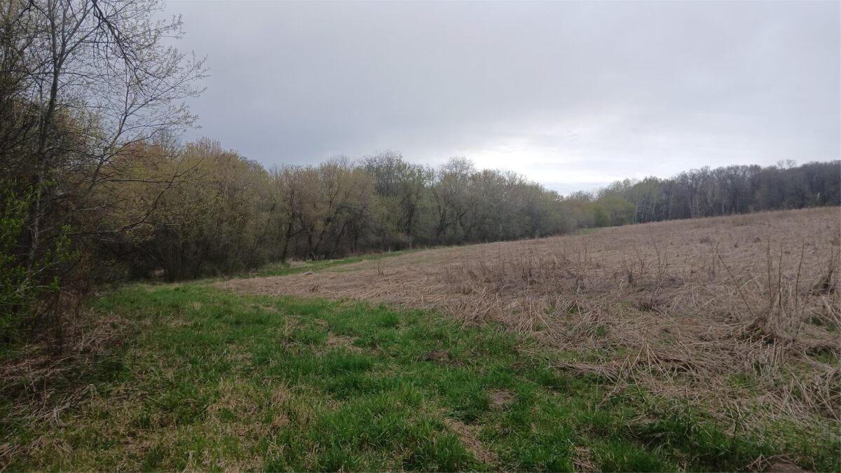 62 Acres 82nd St, Bloomer, WI — photo 10