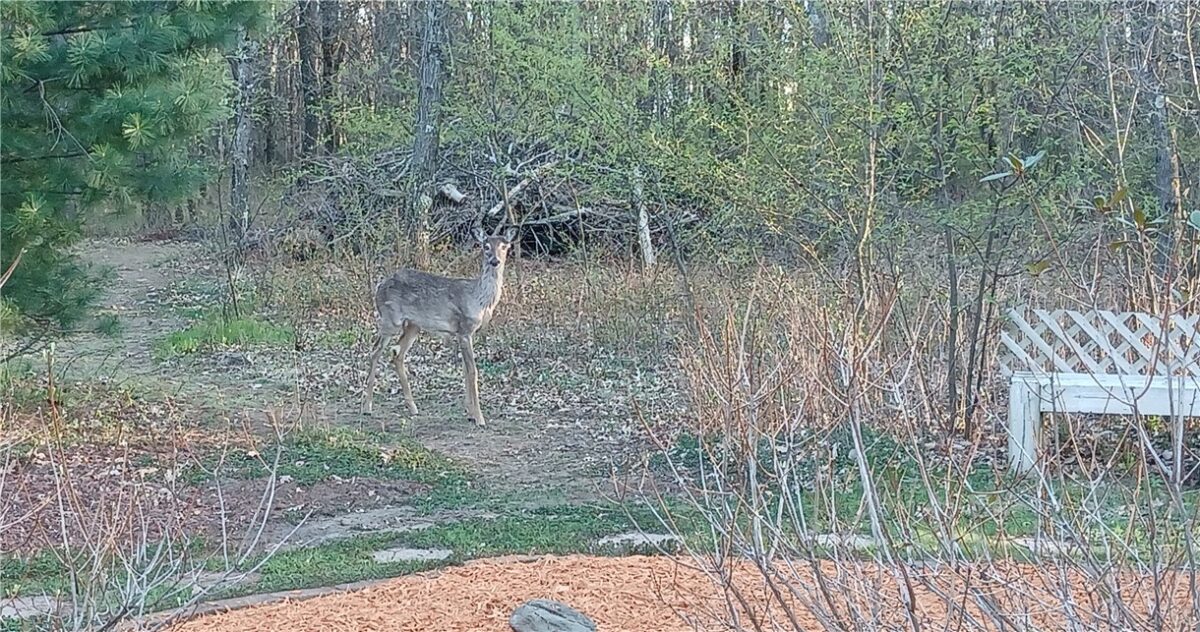 Residential at 6259 Joanne Ln, Altoona, WI 54720 — photo 4