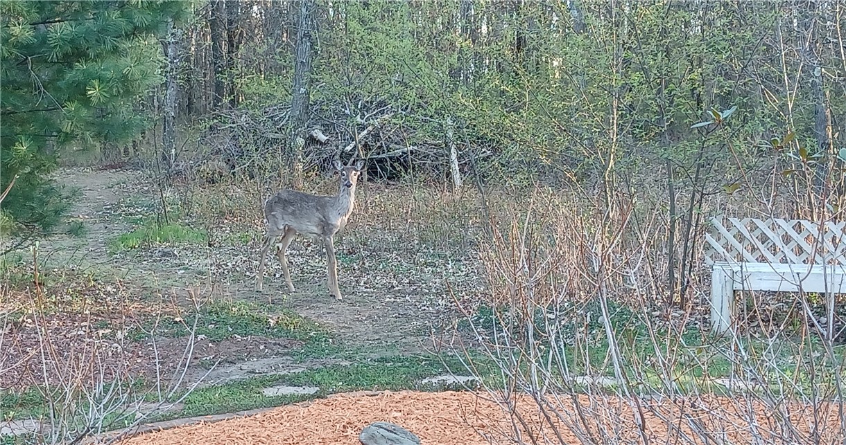 Residential at 6259 Joanne Ln, Altoona, WI 54720 — photo 4