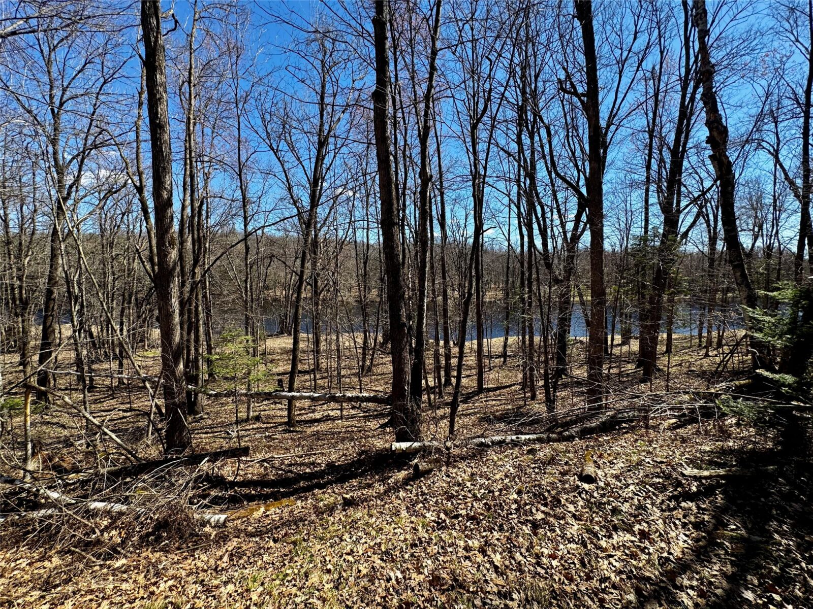 640 N Trcka Lane, Exeland, WI — photo 43