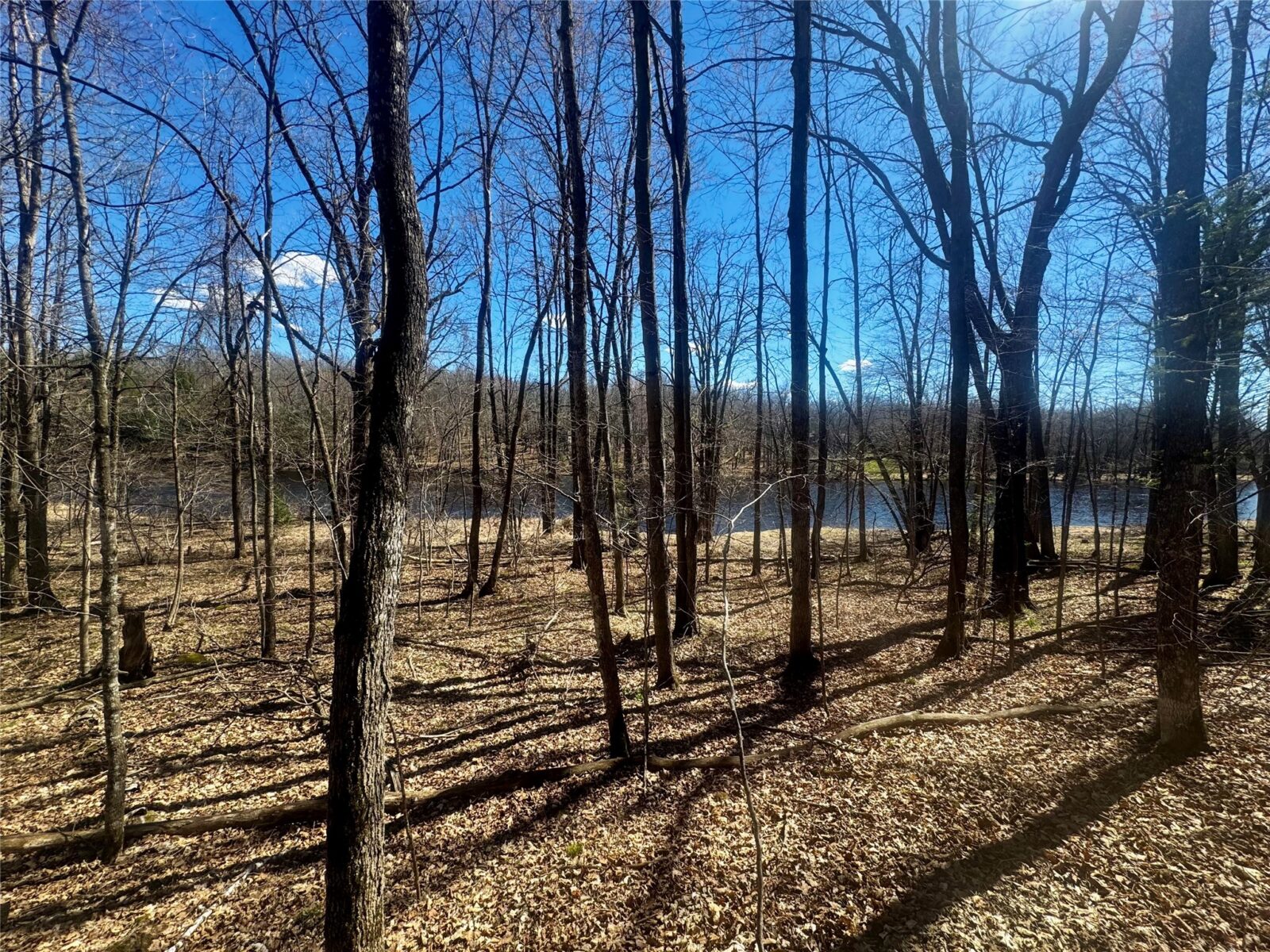 640 N Trcka Lane, Exeland, WI — photo 44