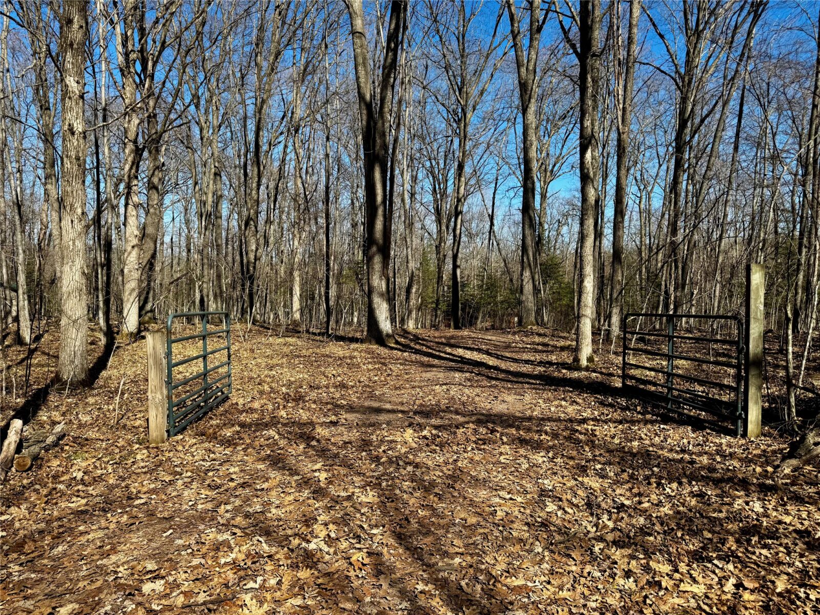 640 N Trcka Lane, Exeland, WI — photo 47