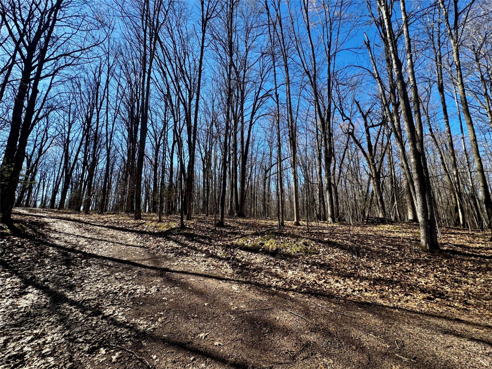 640 N Trcka Lane, Exeland, WI — photo 48