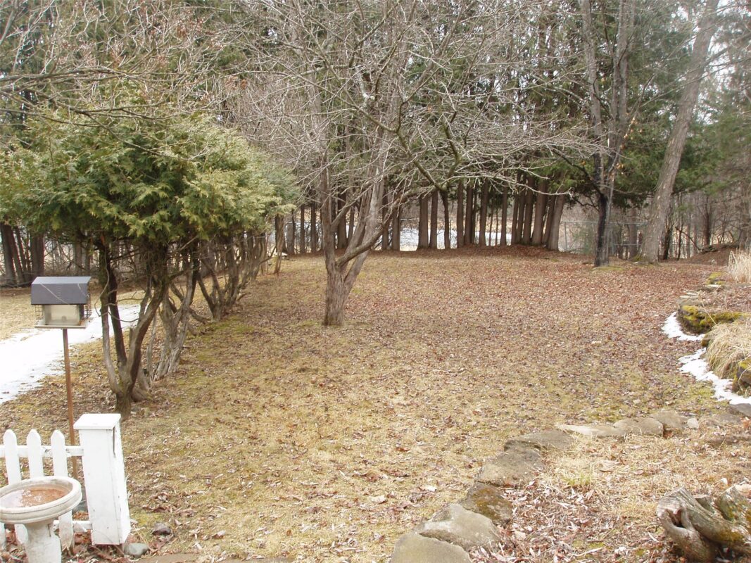 Residential at 649 3rd Avenue, Park Falls, WI 54552 — photo 2