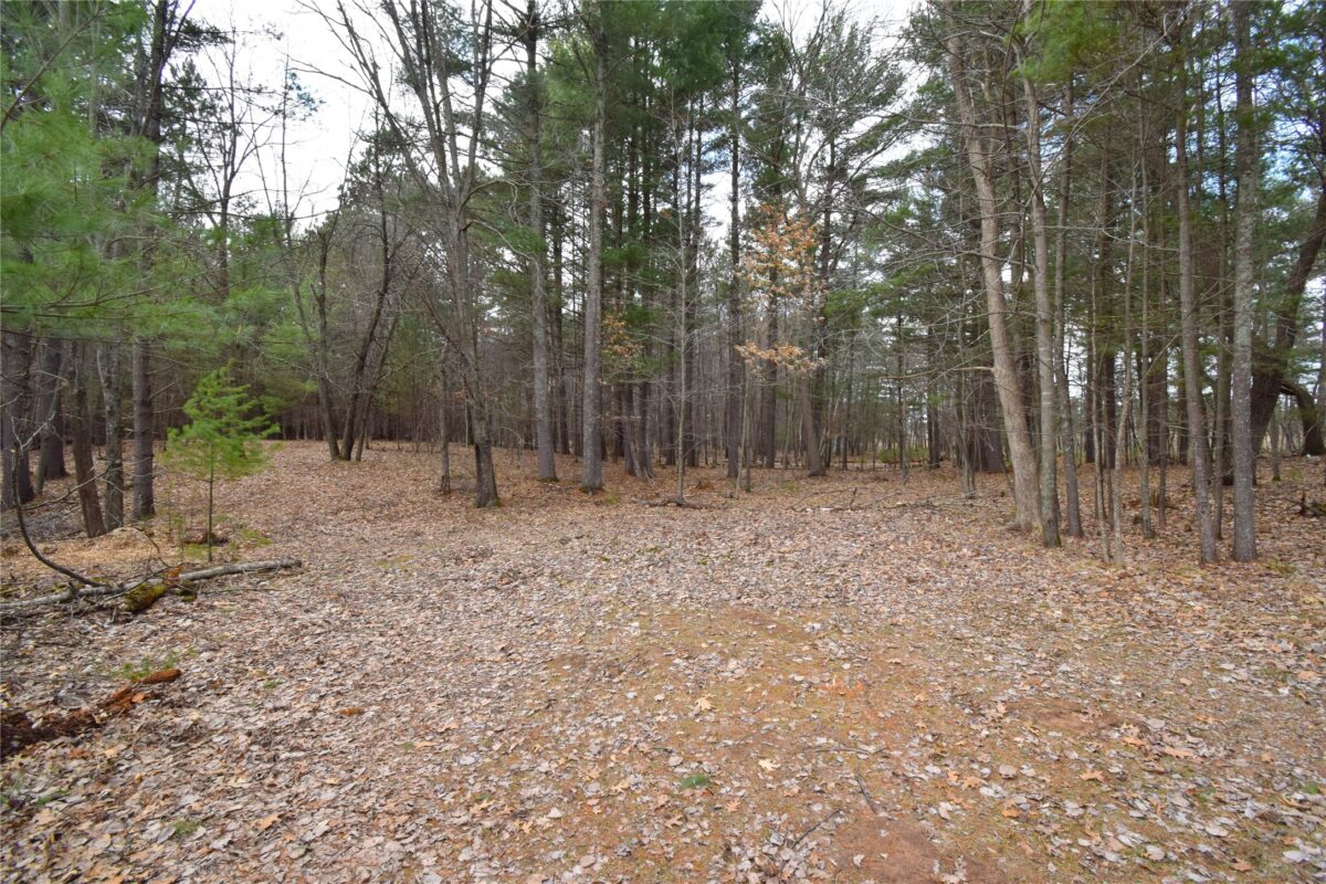 Residential at 6502 Burnikel Road, Siren, WI 54872 — photo 50