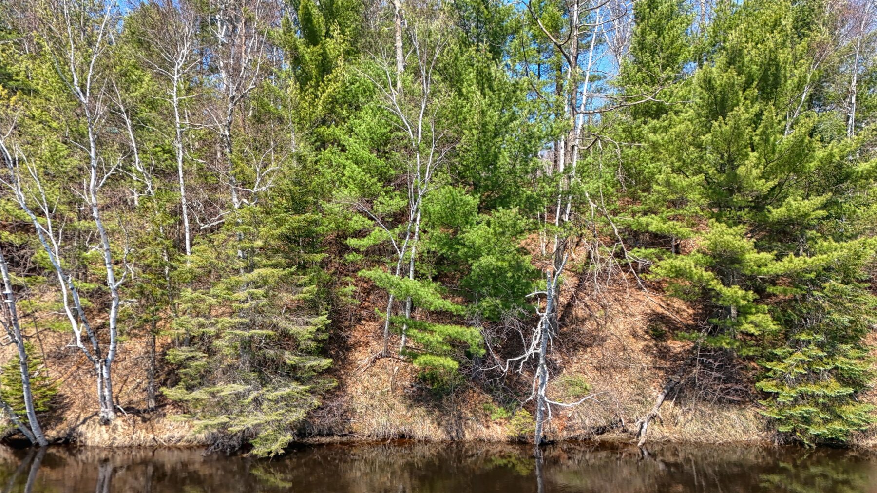 6629 W Golf Course Road, Winter, WI — photo 12