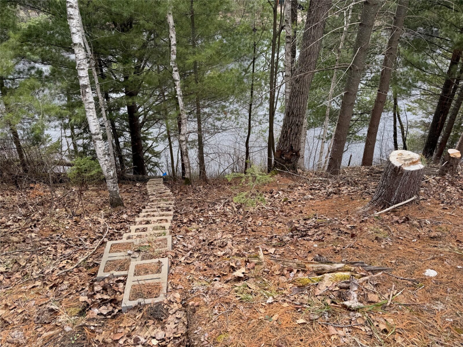 6629 W Golf Course Road, Winter, WI — photo 26