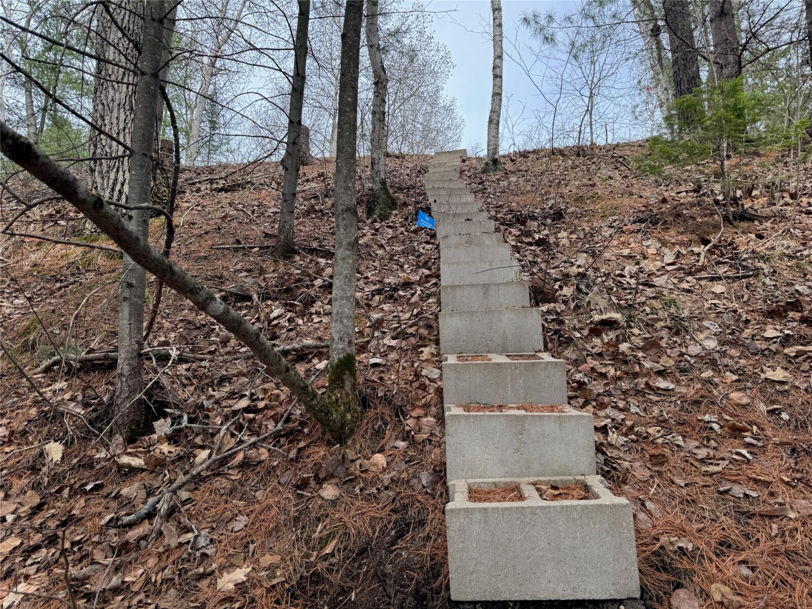 6629 W Golf Course Road, Winter, WI — photo 28