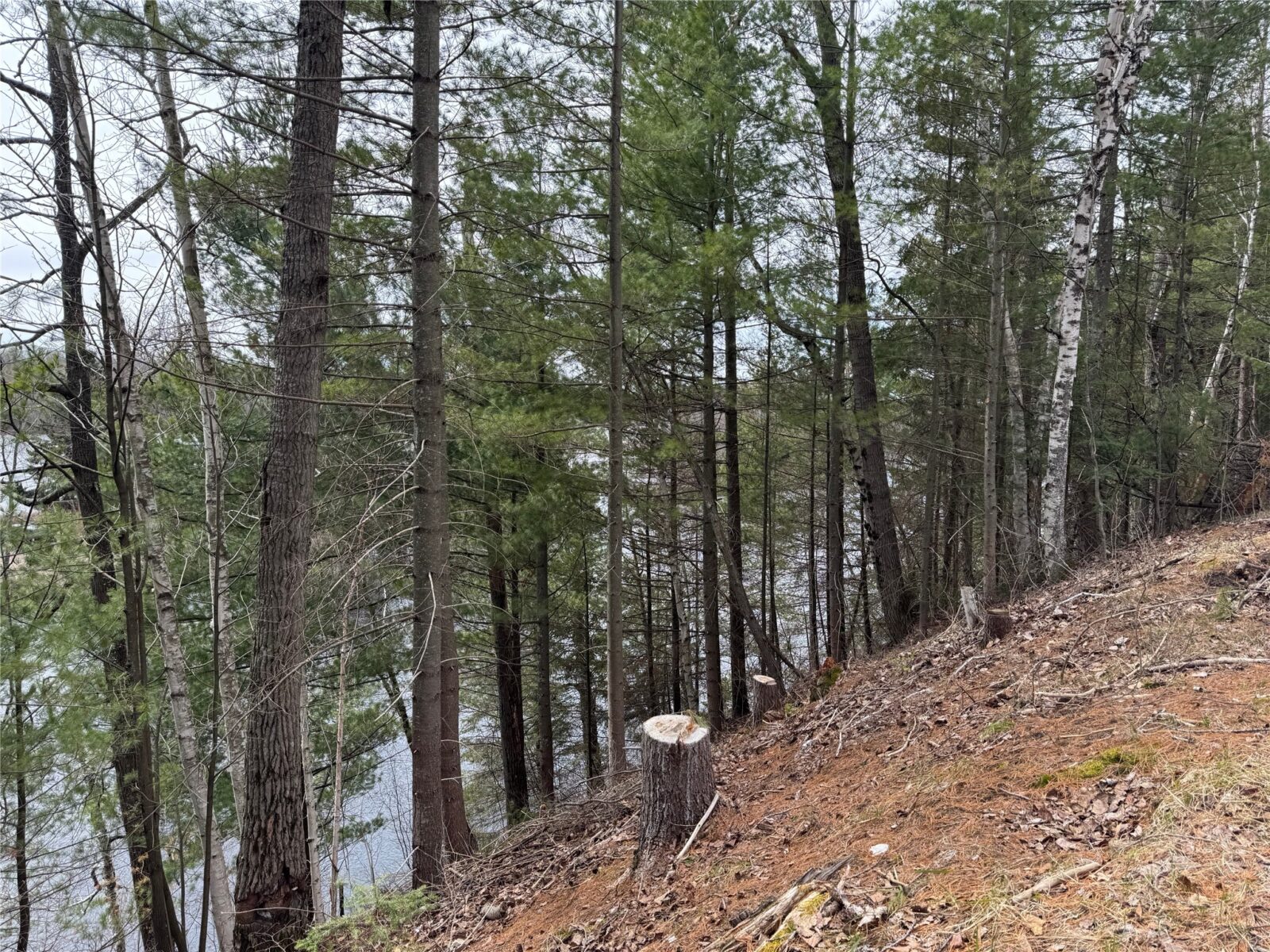 6629 W Golf Course Road, Winter, WI — photo 31