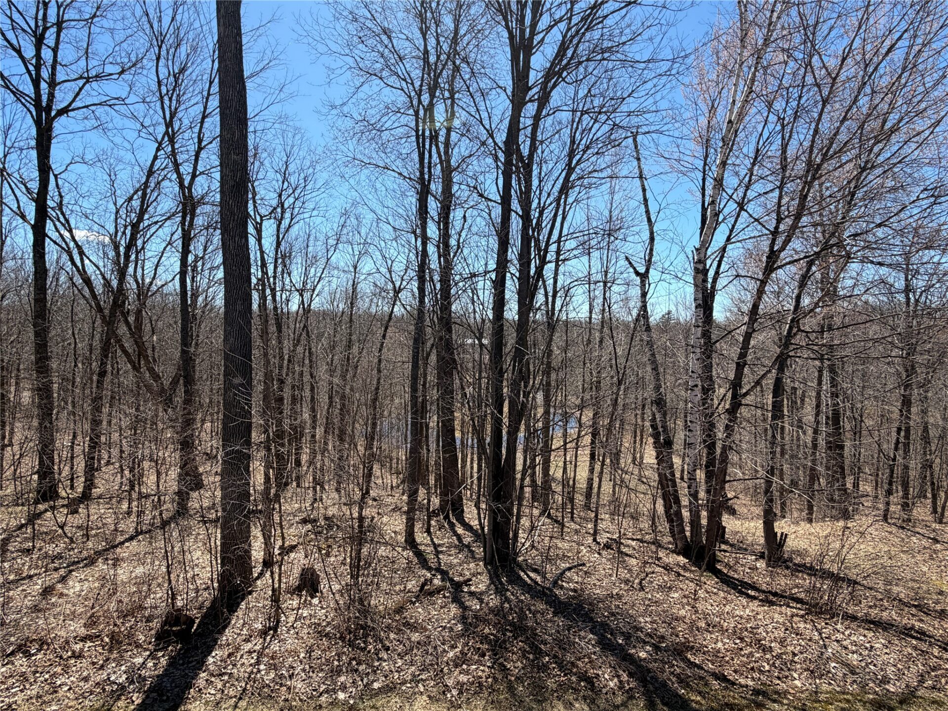 Residential at 667 Kerry Drive, Birchwood, WI 54817 — photo 50