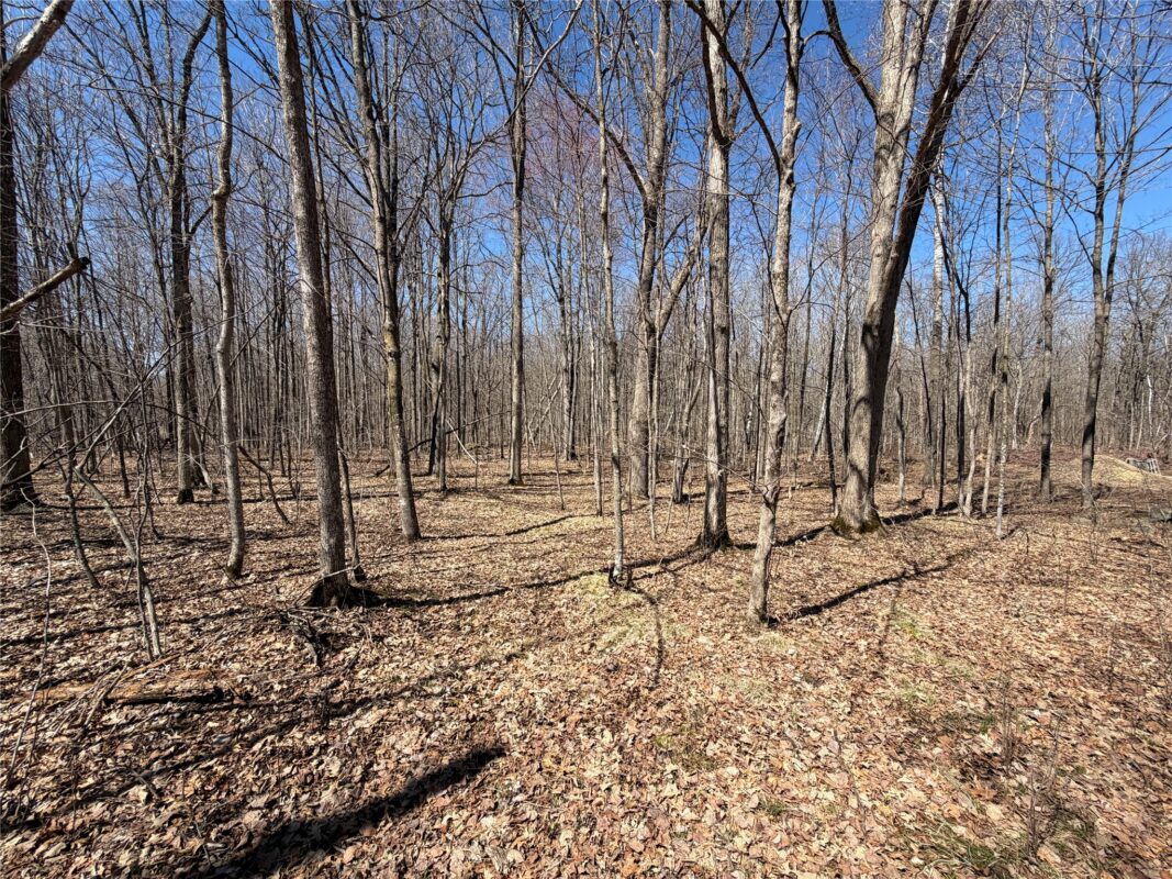 Residential at 667 Kerry Drive, Birchwood, WI 54817 — photo 52