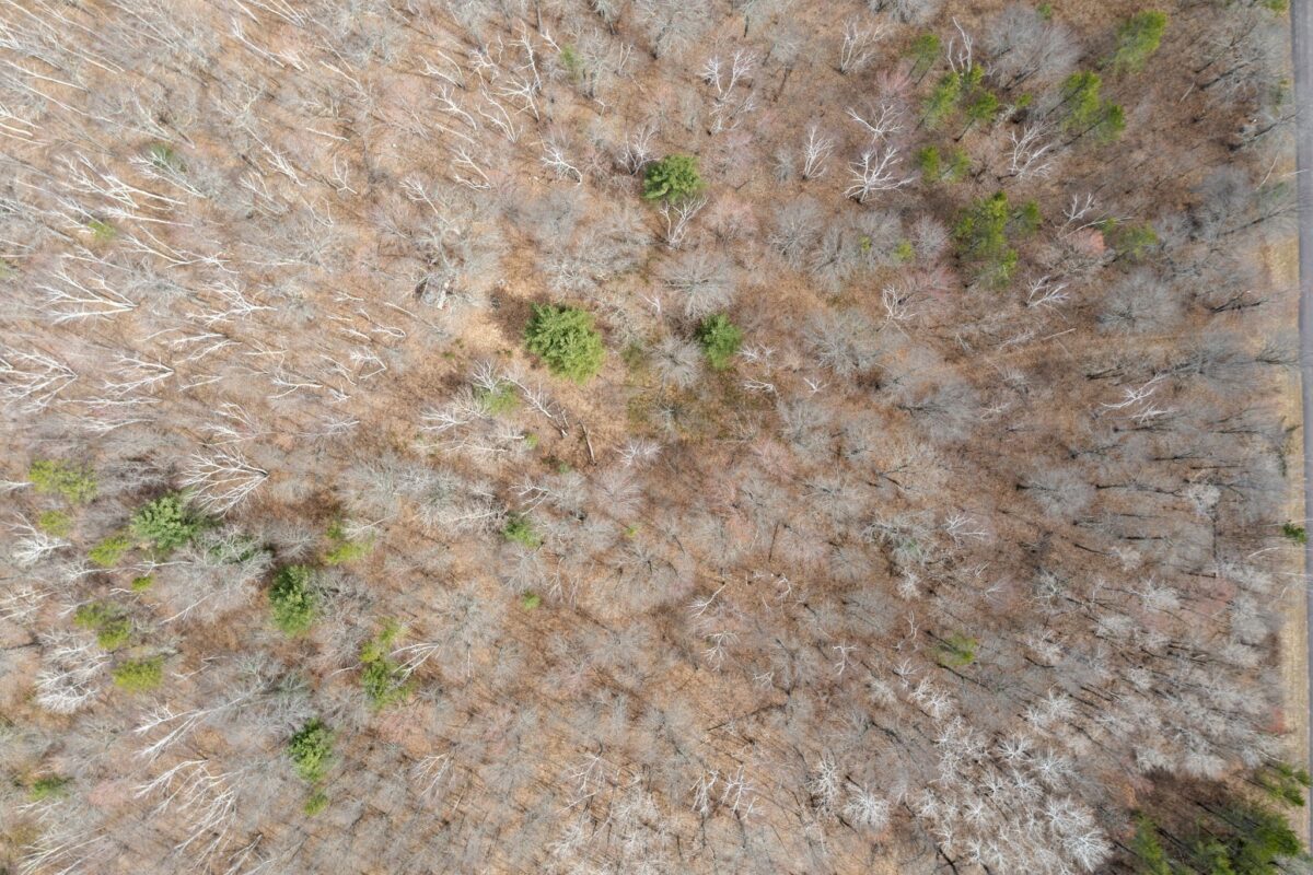 Land at 7108 Oakwood Parkway, Webster, WI 54893 — photo 14