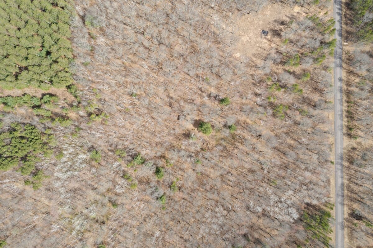 Land at 7108 Oakwood Parkway, Webster, WI 54893 — photo 15