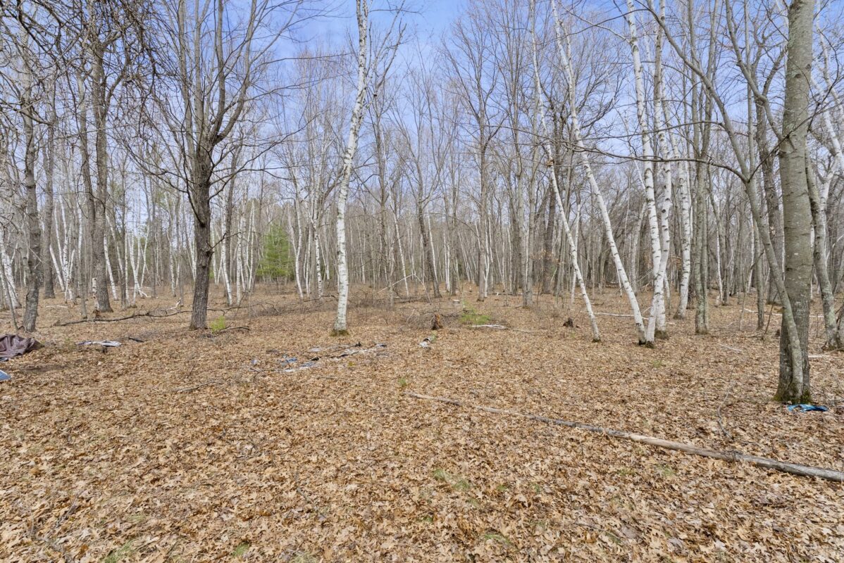 Land at 7108 Oakwood Parkway, Webster, WI 54893 — photo 2