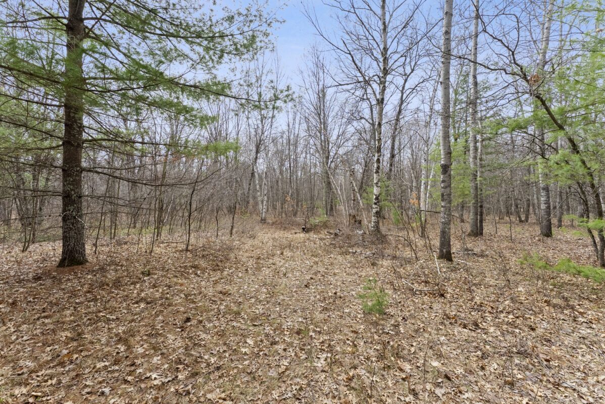 Land at 7108 Oakwood Parkway, Webster, WI 54893 — photo 3