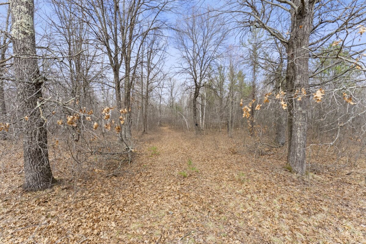 Land at 7108 Oakwood Parkway, Webster, WI 54893 — photo 4
