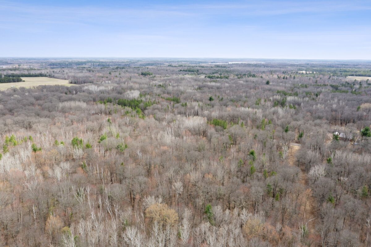 Land at 7108 Oakwood Parkway, Webster, WI 54893 — photo 9