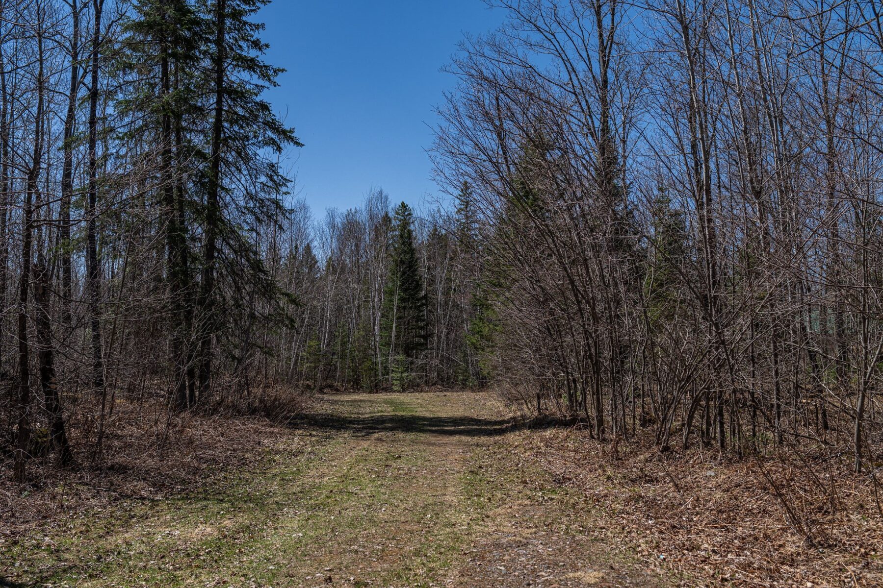 7258N Knowles Road, Winter, WI — photo 36