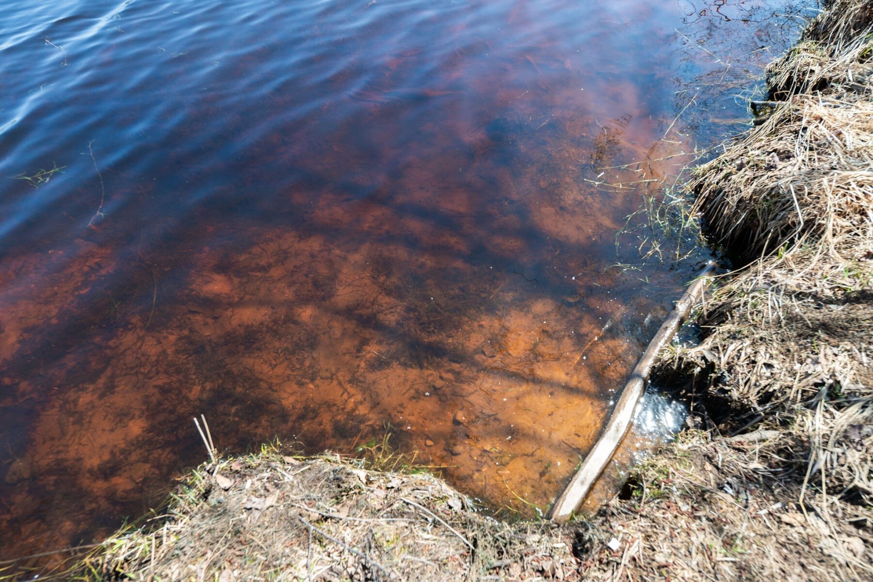 7258N Knowles Road, Winter, WI — photo 39