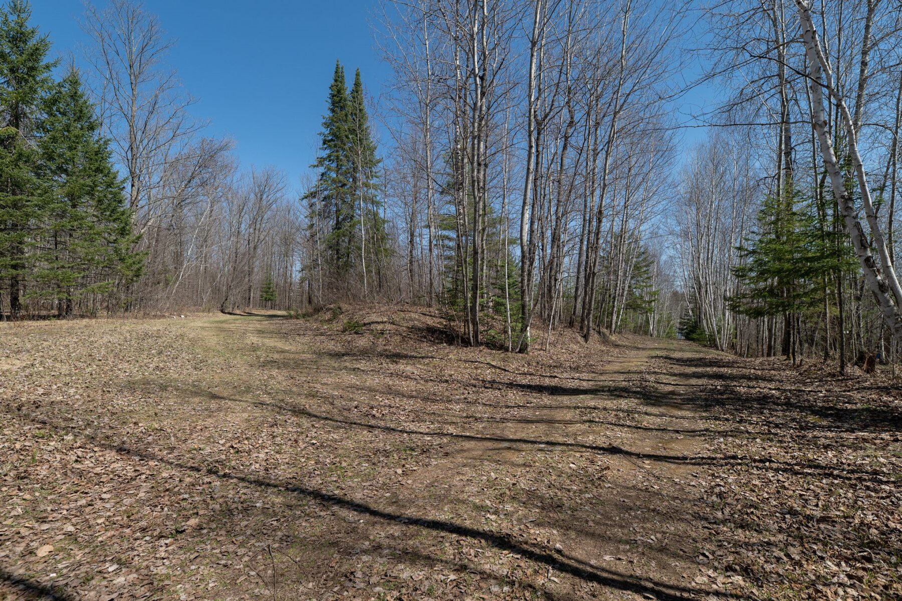 7258N Knowles Road, Winter, WI — photo 54