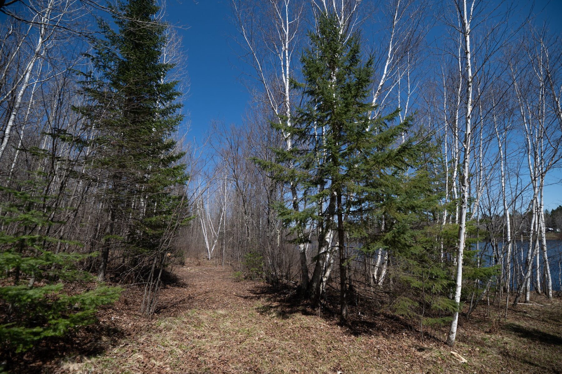 7258N Knowles Road, Winter, WI — photo 55