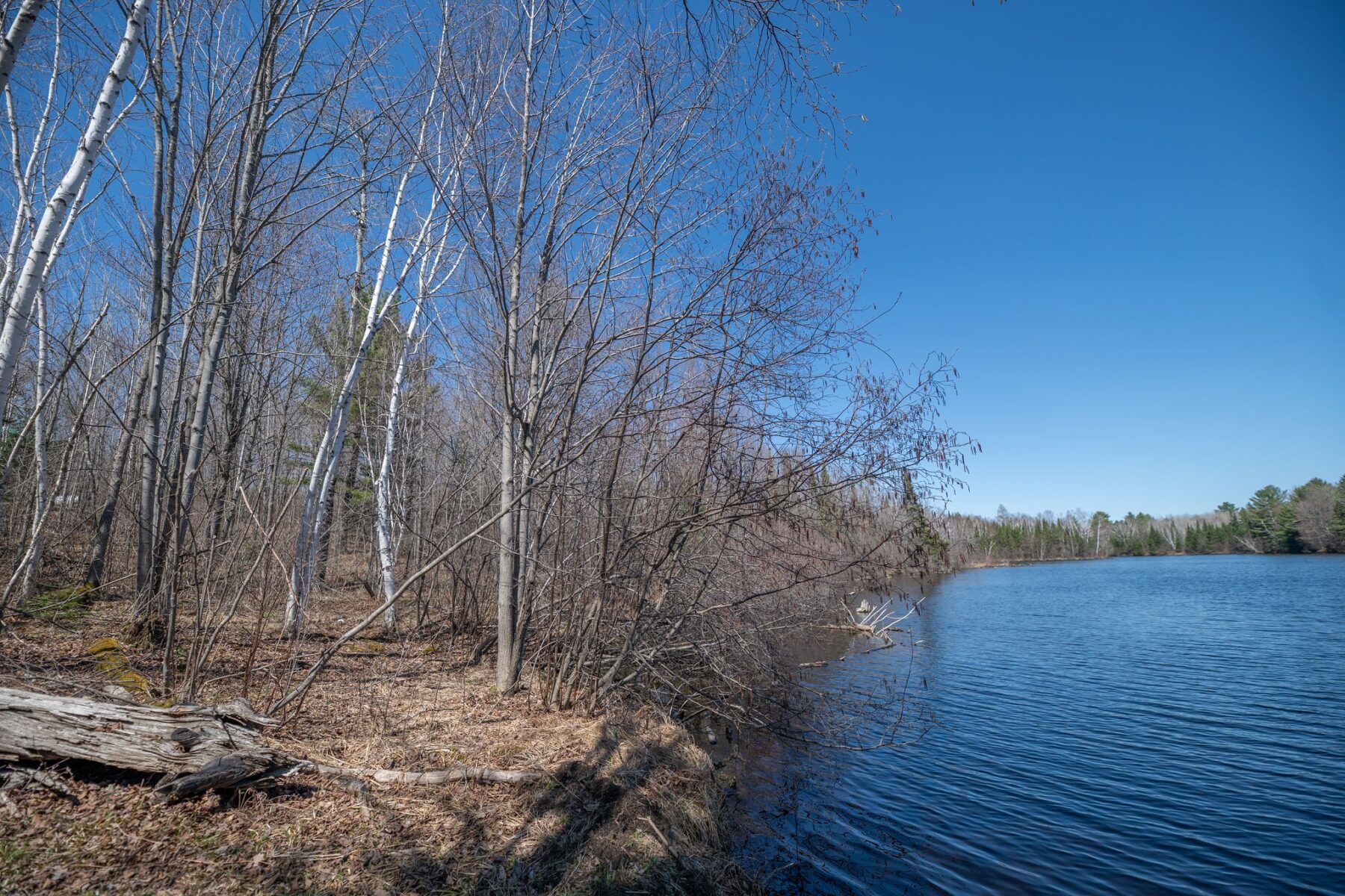 7258N Knowles Road, Winter, WI — photo 56