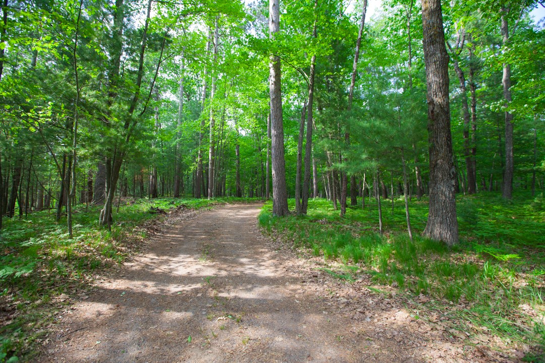 Residential at 7359 Cable Lake Road, Spooner, WI 54801 — photo 6