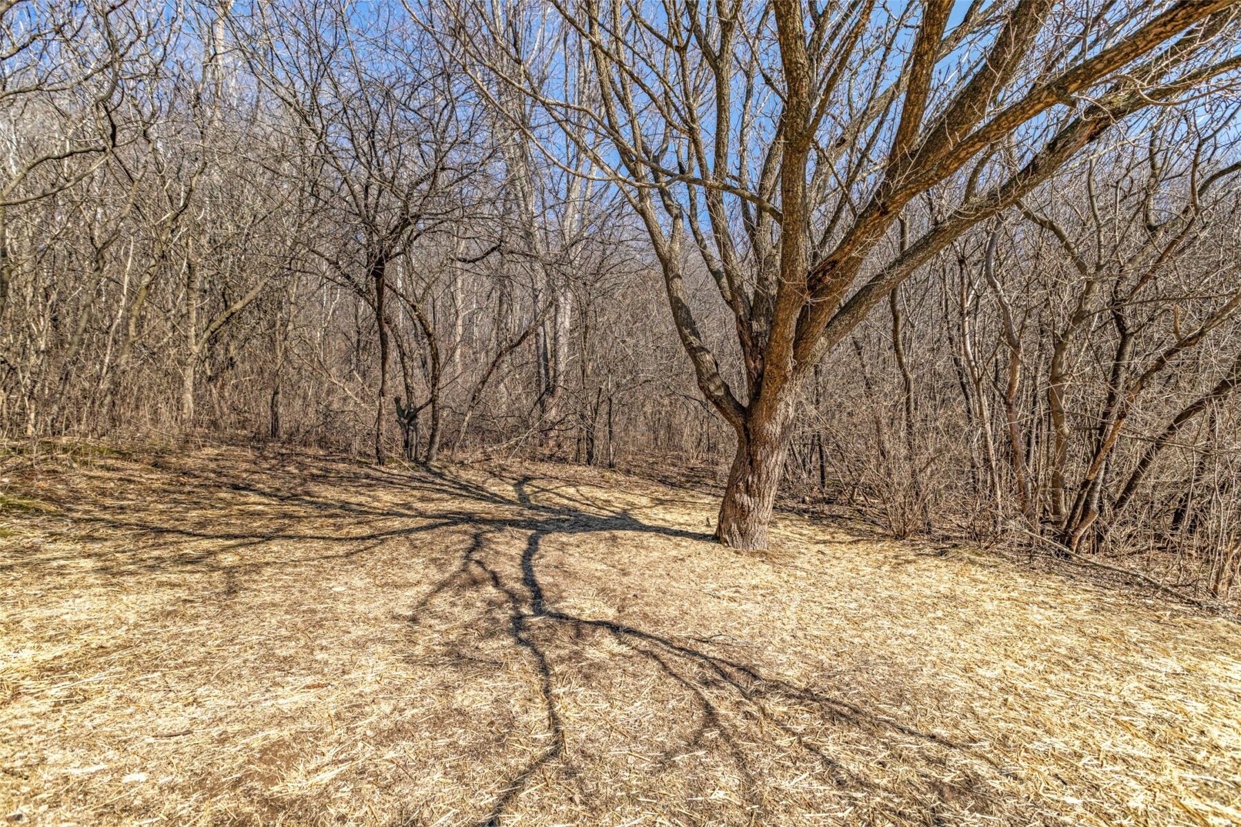 Residential at 7447 115th Street, Chippewa Falls, WI 54729 — photo 51